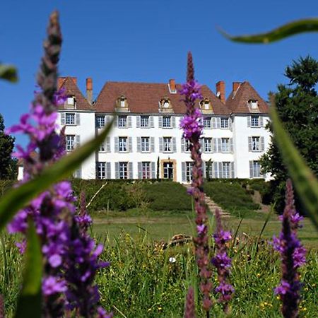 Chateau De Matel Роан Экстерьер фото